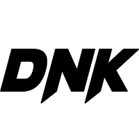 shalmor.in